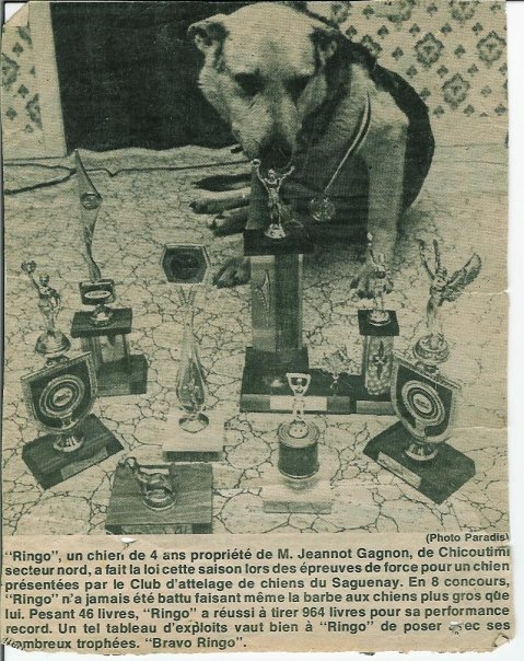 Champion appartenant à la famille Gagnon, date inconnue.